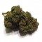 Asteroid OG Strain: A Mysterious OG Kush Hybrid